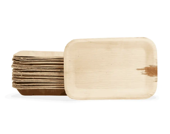 Areca palm leaf trays export — natural compostable serving trays for distributors UAE Europe